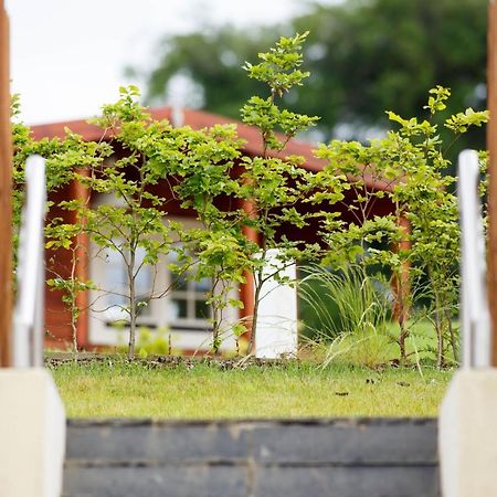 Giltraps Townhouse & Glamping Otel Kinnitty Dış mekan fotoğraf