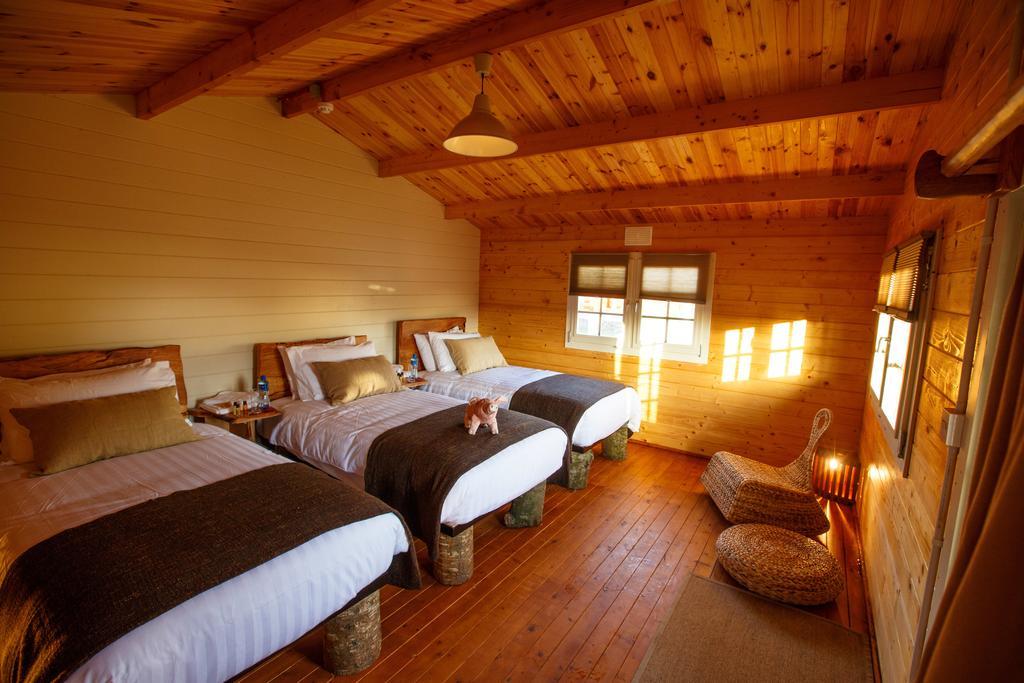 Giltraps Townhouse & Glamping Otel Kinnitty Oda fotoğraf
